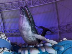 -烟台海昌鲸鲨海洋公园