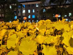 -四川大学(望江校区)