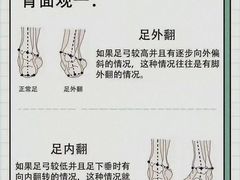 -CXFIT 陈徐健身工作室(凯旋店)