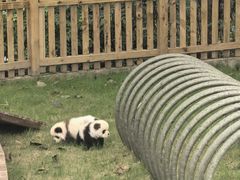 -茅山东方盐湖城景区