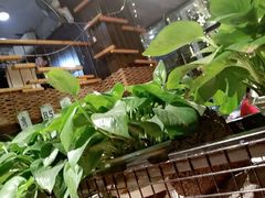 -老五烧烤(石牌岭店)