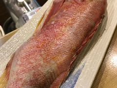 -富山日式料理(宽厚里店)