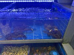 -金海湾海鲜排档(朱家尖店)