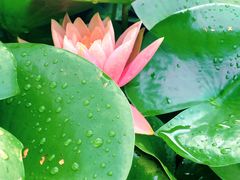 -长安上水缘度假庄园