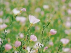 -良渚古城遗址公园