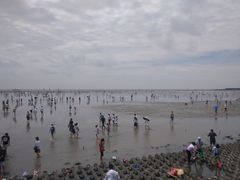 -奉贤海滩