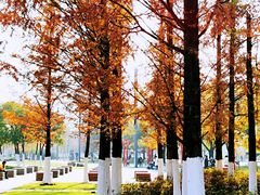 -天鹅湖体育公园