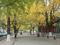 -四川大学(望江校区)
