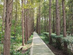 -同里国家湿地公园