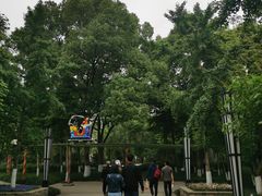 -成飞公园