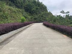 -田心森林公园