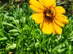 -桤木河湿地公园