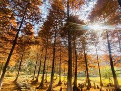 -南京市无想山景区