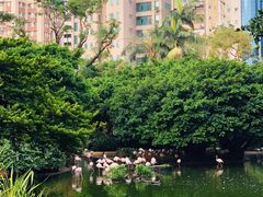 -九龙公园