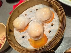 虾饺皇-阿诚市井潮汕菜(金台路店)