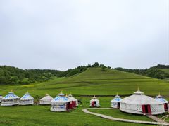-关山牧场王师烤全羊
