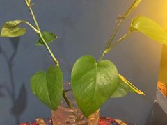 -韵泰·泰式按摩SPA(万象城店)