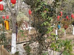 -草根堂农场