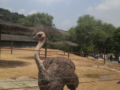 -沈阳森林动物园