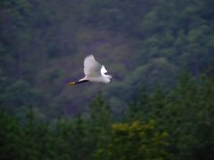 -楠溪江风景名胜区