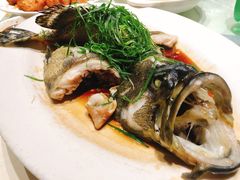清蒸石斑鱼-海儀美食楼(湾仔海鲜街店)