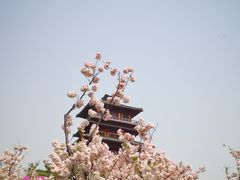 -古柏渡飞黄旅游区