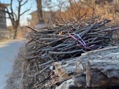 -天津盘山风景名胜区