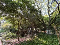 -瀛洲公园