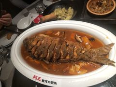 红烧黄河鲤鱼-阿五黄河大鲤鱼(英协路店)