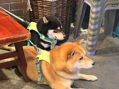 -水碾河刘老大串串香(水碾河路店)