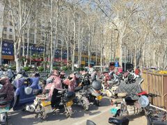 -洛阳市牡丹公园