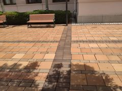-香港大学