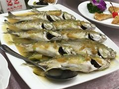 金钱花鱼-海港酒楼·平价海鲜·茶点(小公园店)