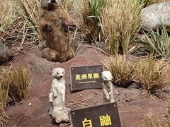 -陕西自然博物馆