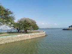 -南沙十九涌渔人码头-南门