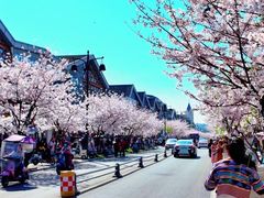 -老号尤兔头(幸福店)