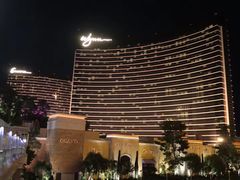 -拉斯维加斯永利酒店