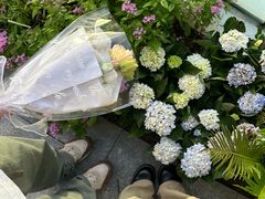 -云溪植物园