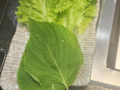 -臻牛烤肉