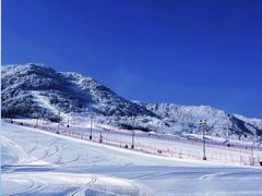 -东北亚滑雪场