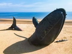 -烟台金沙滩海滨公园