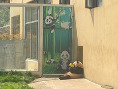 -西安秦岭野生动物园