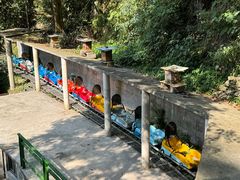 -藏龙百瀑风景区