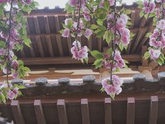 -西安青龙寺遗址景区