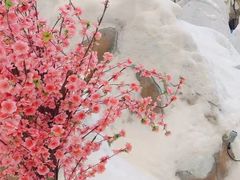 -湘江欢乐城欢乐雪域