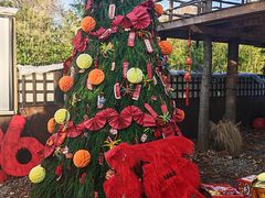 -HERRE·FARM 赫尔露营农场·团建聚会包场