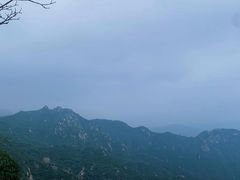 -大岭沟猕猴桃谷风景区