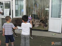 -北京麋鹿生态实验中心