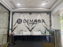 -DEM缔怡美科技美容