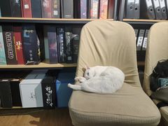 -剧狐剧本杀·月球探案馆(人民广场1号店)